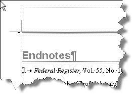 Text Endnote Separator (in Heading 1 style) with empty paragraph above formatted as Page break before and 1 point (appearing as a grey line)